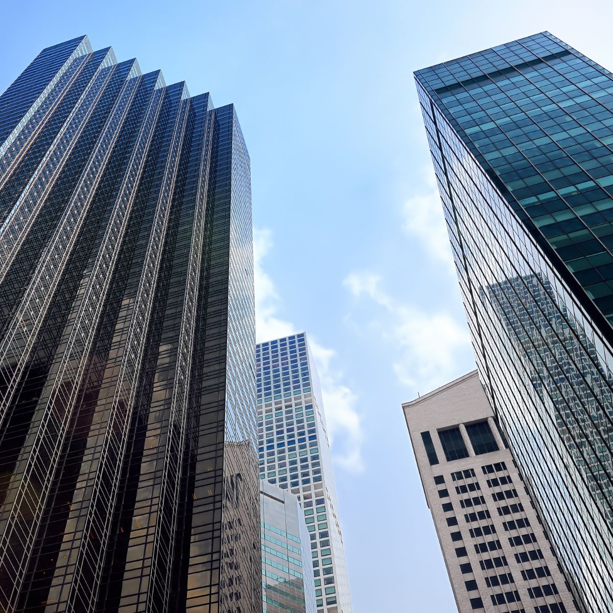 Investor Relations Image